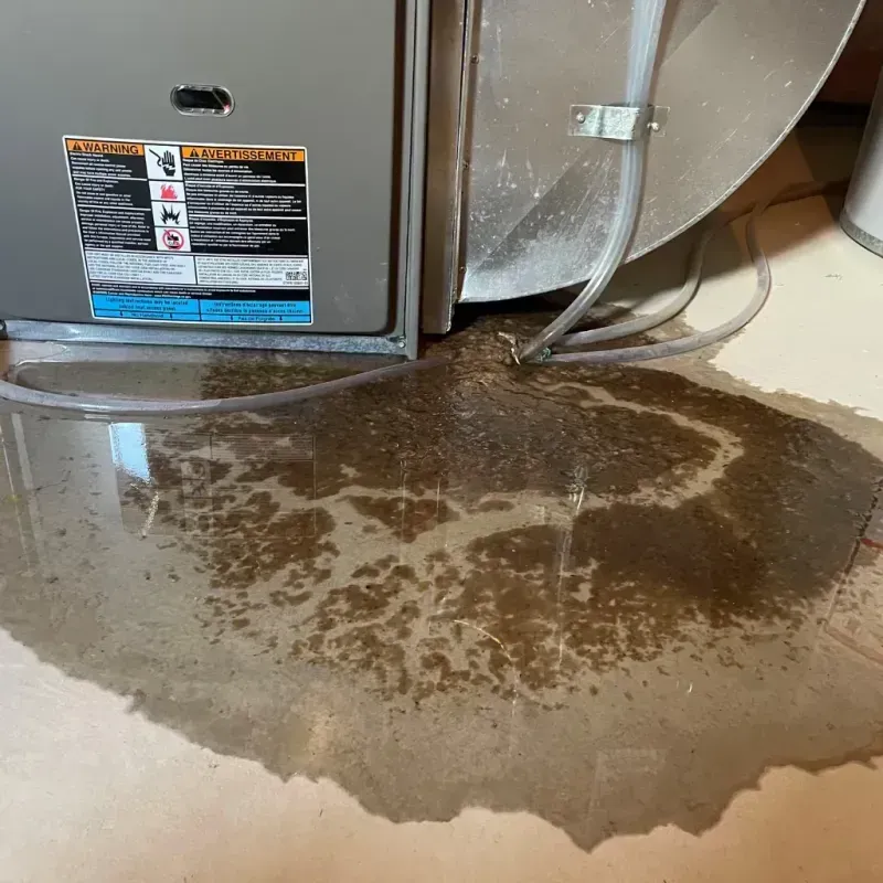 Appliance Leak Cleanup in Rolling Hills Estates, CA